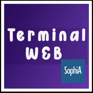 TERMINAL WEB.png